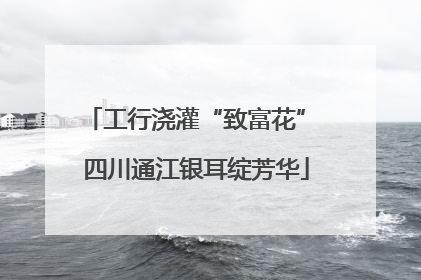 工行浇灌“致富花” 四川通江银耳绽芳华