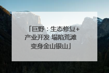 巨野：生态修复+产业开发 塌陷荒滩变身金山银山