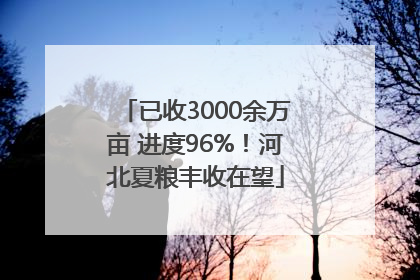 已收3000余万亩 进度96%！河北夏粮丰收在望