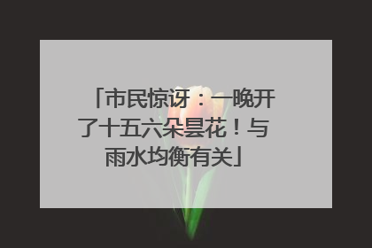 市民惊讶：一晚开了十五六朵昙花！与雨水均衡有关