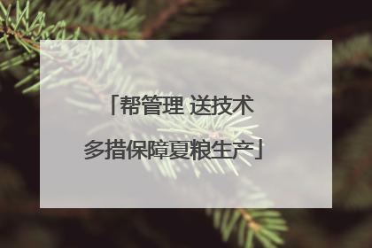 帮管理 送技术 多措保障夏粮生产