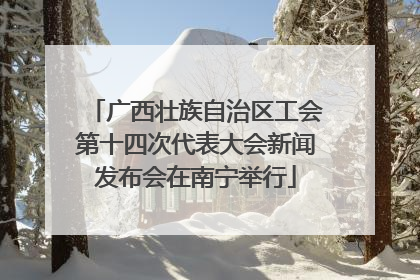 广西壮族自治区工会第十四次代表大会新闻发布会在南宁举行