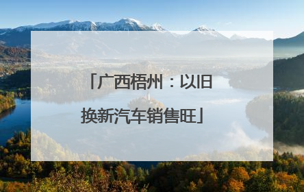 广西梧州：以旧换新汽车销售旺