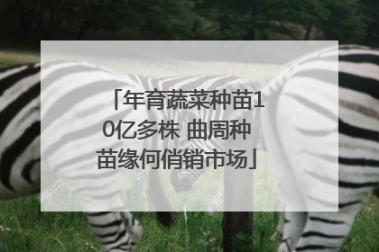 年育蔬菜种苗10亿多株 曲周种苗缘何俏销市场