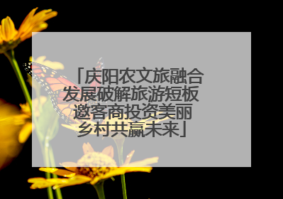 庆阳农文旅融合发展破解旅游短板 邀客商投资美丽乡村共赢未来