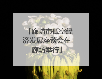 廊坊市低空经济发展座谈会在廊坊举行