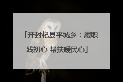 开封杞县平城乡：履职践初心 帮扶暖民心