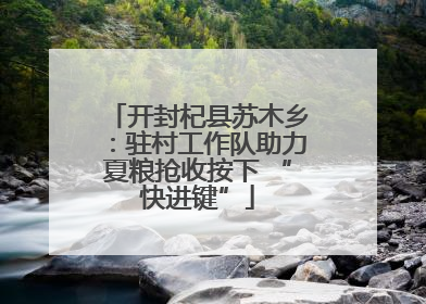 开封杞县苏木乡：驻村工作队助力夏粮抢收按下 “快进键”