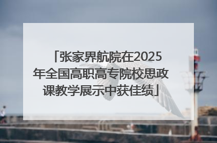 张家界航院在2025年全国高职高专院校思政课教学展示中获佳绩