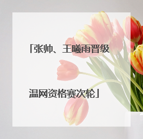 张帅、王曦雨晋级温网资格赛次轮