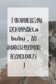 张朝阳后悔送回绝版Labubu，胡润称没想到能拍到108万