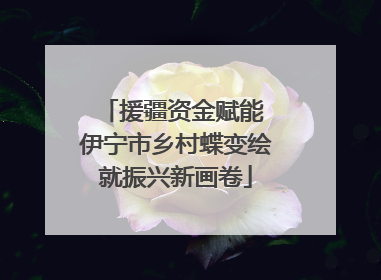 援疆资金赋能 伊宁市乡村蝶变绘就振兴新画卷
