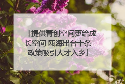 提供青创空间更给成长空间 瓯海出台十条政策吸引人才入乡