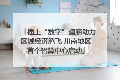 插上“数字”翅膀助力区域经济腾飞 川南地区首个智算中心启动