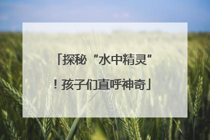 探秘“水中精灵”！孩子们直呼神奇