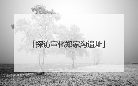 探访宣化郑家沟遗址