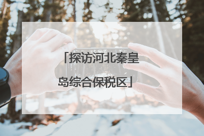 探访河北秦皇岛综合保税区