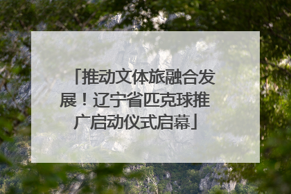 推动文体旅融合发展！辽宁省匹克球推广启动仪式启幕