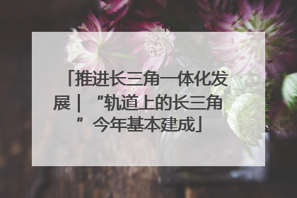 推进长三角一体化发展｜“轨道上的长三角”今年基本建成