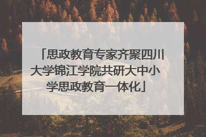 思政教育专家齐聚四川大学锦江学院共研大中小学思政教育一体化
