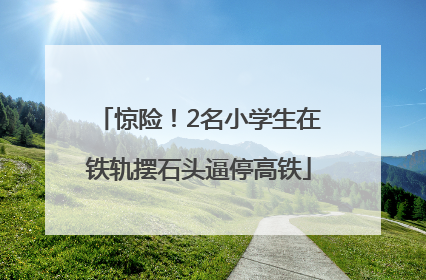 惊险！2名小学生在铁轨摆石头逼停高铁