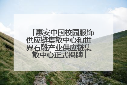 惠安中国校园服饰供应链集散中心和世界石雕产业供应链集散中心正式揭牌