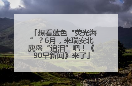 想看蓝色“荧光海”？6月，来瑞安北麂岛“追泪”吧！《90早新闻》来了