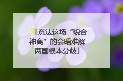 意法这场“貌合神离”的会晤难解两国根本分歧