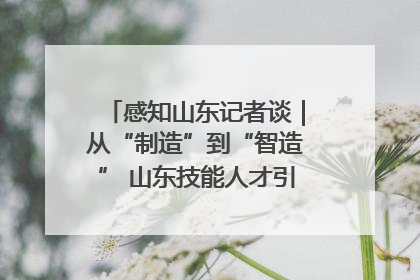 感知山东记者谈｜从“制造”到“智造” 山东技能人才引领产业升级