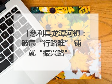慈利县龙潭河镇：破局“行路难” 铺就“振兴路”