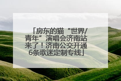 房东的猫“世界/青年”演唱会济南站来了！济南公交开通6条歌迷定制专线