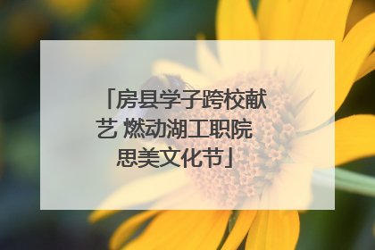 房县学子跨校献艺 燃动湖工职院思美文化节