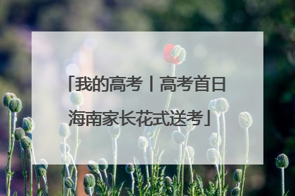 我的高考丨高考首日 海南家长花式送考