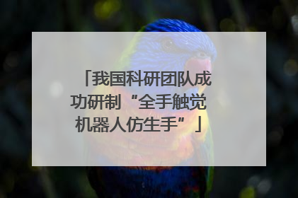 我国科研团队成功研制“全手触觉机器人仿生手”