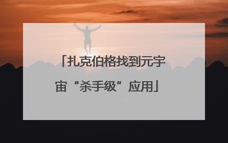 扎克伯格找到元宇宙“杀手级”应用
