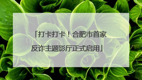 打卡打卡！合肥市首家反诈主题影厅正式启用