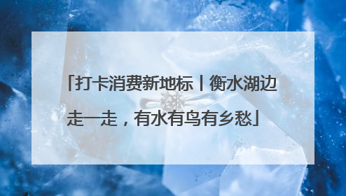 打卡消费新地标丨衡水湖边走一走，有水有鸟有乡愁