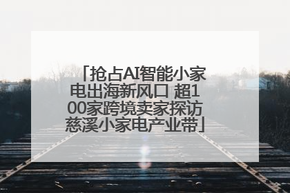 抢占AI智能小家电出海新风口 超100家跨境卖家探访慈溪小家电产业带