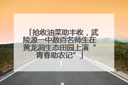 抢收油菜助丰收，武陵源一中数百名师生在黄龙洞生态田园上演“青春助农记”