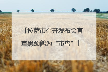 拉萨市召开发布会官宣黑颈鹤为“市鸟”