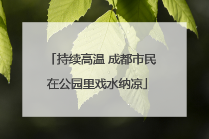 持续高温 成都市民在公园里戏水纳凉