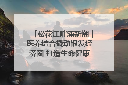 松花江畔涌新潮｜医养结合撬动银发经济圈 打造生命健康产业新样本