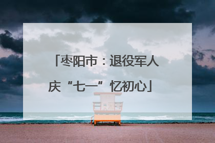 枣阳市：退役军人庆“七一”忆初心