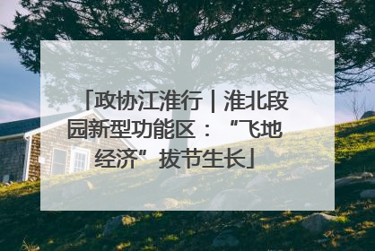 政协江淮行｜淮北段园新型功能区：“飞地经济”拔节生长