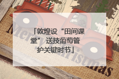 敦煌设“田间课堂” 送技葡萄管护关键时节