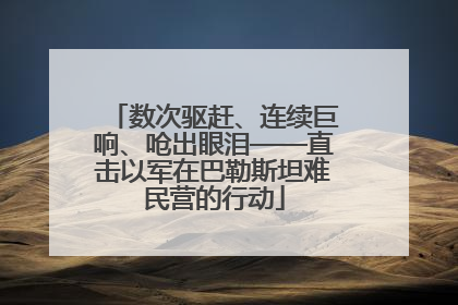 数次驱赶、连续巨响、呛出眼泪——直击以军在巴勒斯坦难民营的行动