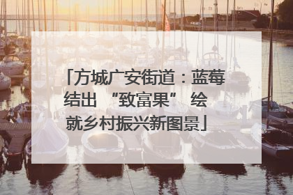 方城广安街道：蓝莓结出 “致富果” 绘就乡村振兴新图景