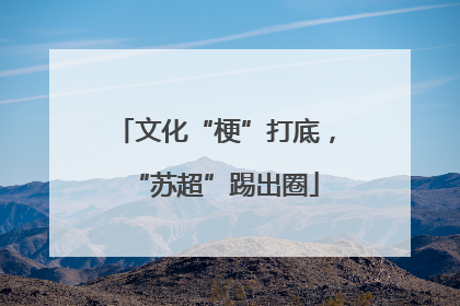 文化“梗”打底，“苏超”踢出圈