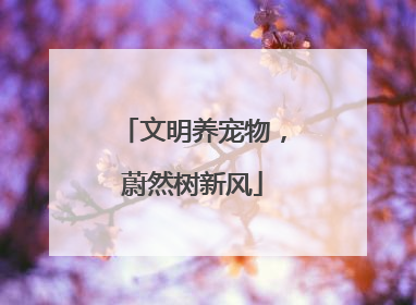 文明养宠物，蔚然树新风