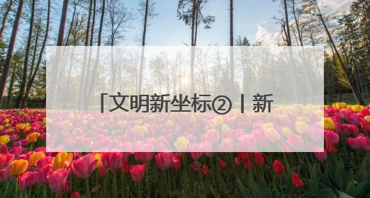 文明新坐标②丨新邵县人民法院：以文明为笔 法治为墨 绘文明新画卷